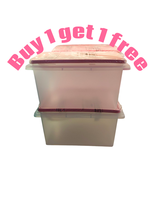 Tupperware Plastic Rice Keeper, 5Kg 1+1